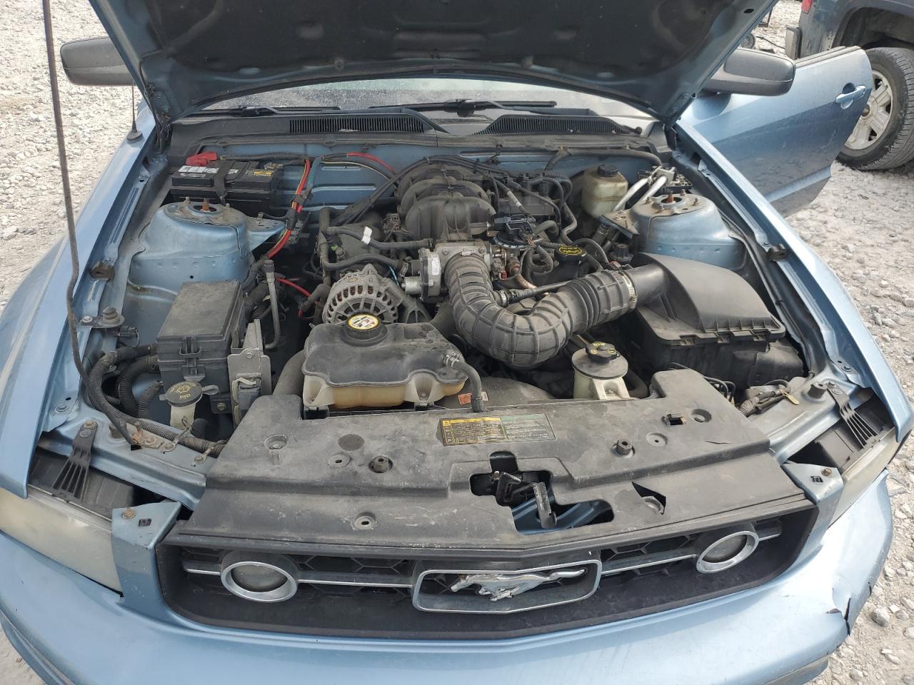 2006 Ford Mustang VIN: 1ZVHT84N265228122 Lot: 67741205