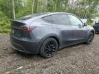 2023 TESLA MODEL Y    à vendre chez Copart ON - COOKSTOWN