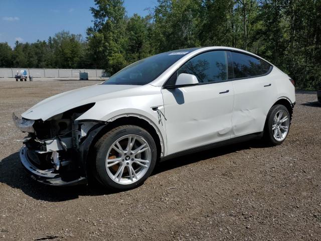 2021 TESLA MODEL Y    for sale at Copart ON - COOKSTOWN
