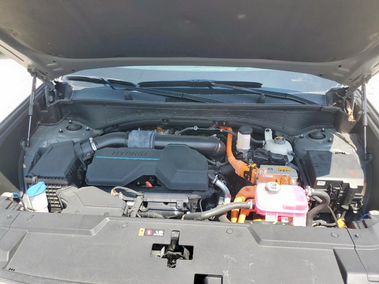 2024 Hyundai Santa Fe Limited VIN: 5NMP34G13RH008036 Lot: 70464775