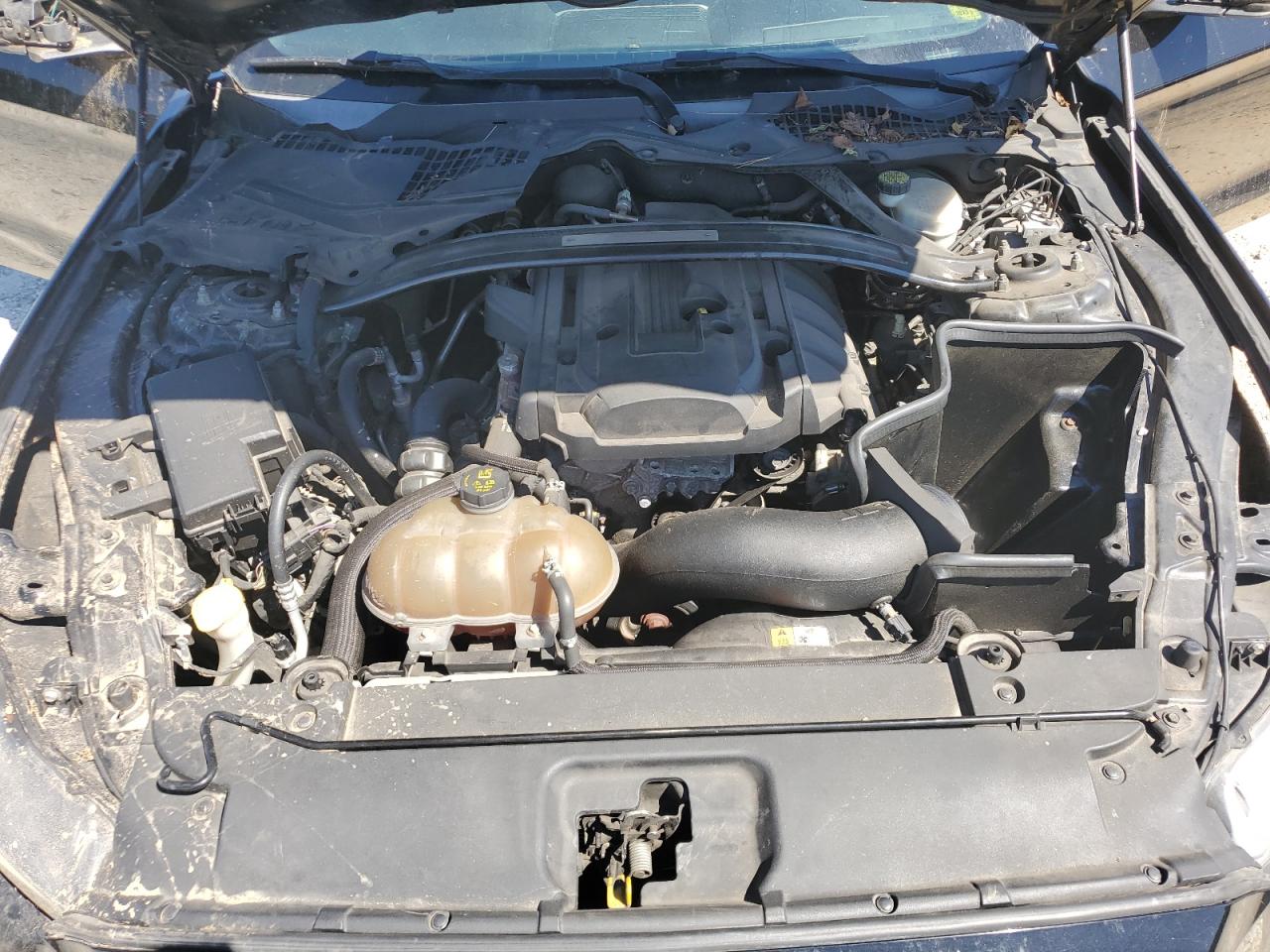 2015 Ford Mustang VIN: 1FA6P8TH7F5356937 Lot: 70586125