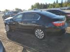 2013 HONDA ACCORD EXL   for sale at Copart ON - TORONTO