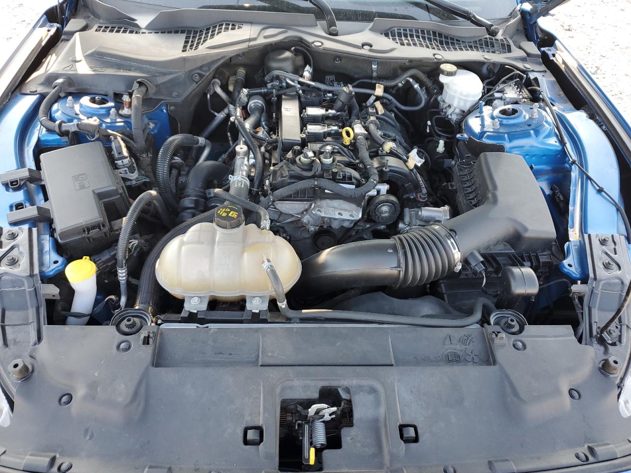 2019 Ford Mustang VIN: 1FA6P8TH7K5200150 Lot: 71195375