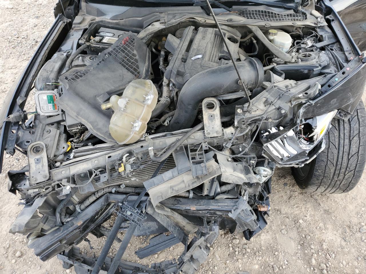 2017 Ford Mustang VIN: 1FA6P8TH4H5263568 Lot: 70140625