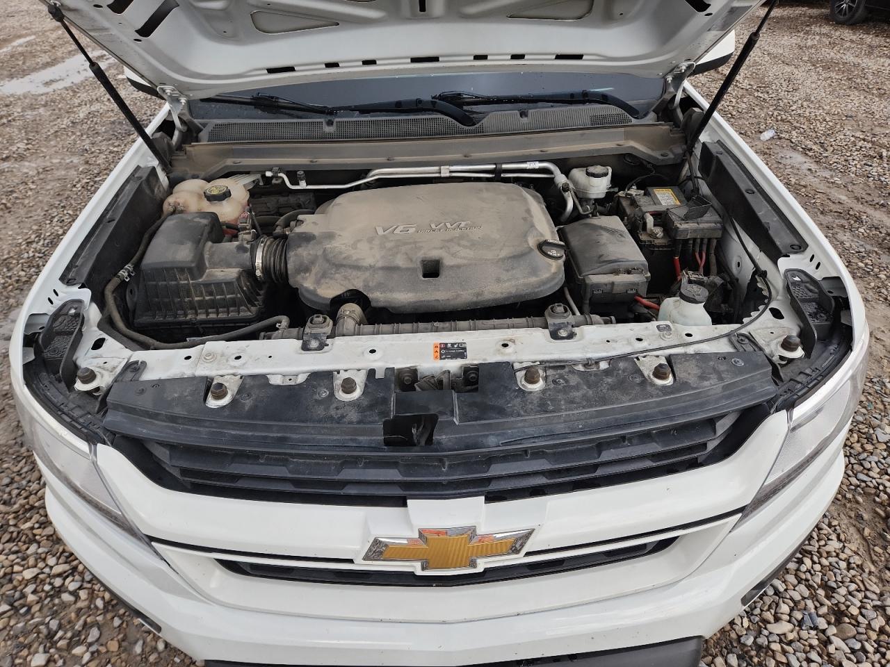 2019 Chevrolet Colorado VIN: 1GCGTBEN9K1204315 Lot: 70416945