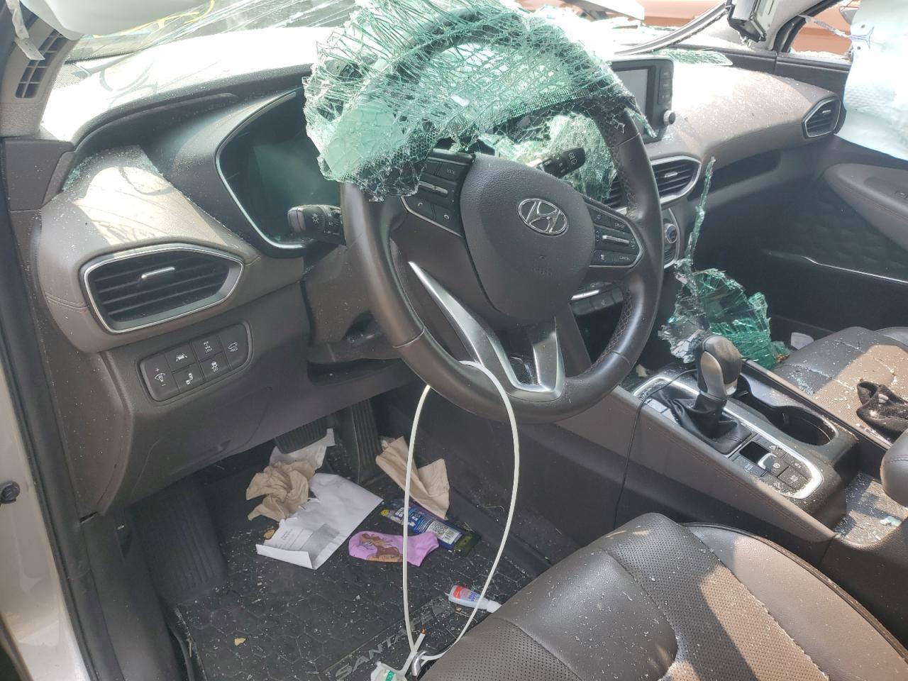 2020 Hyundai Santa Fe Sel VIN: 5NMS3CAD9LH262736 Lot: 67352485