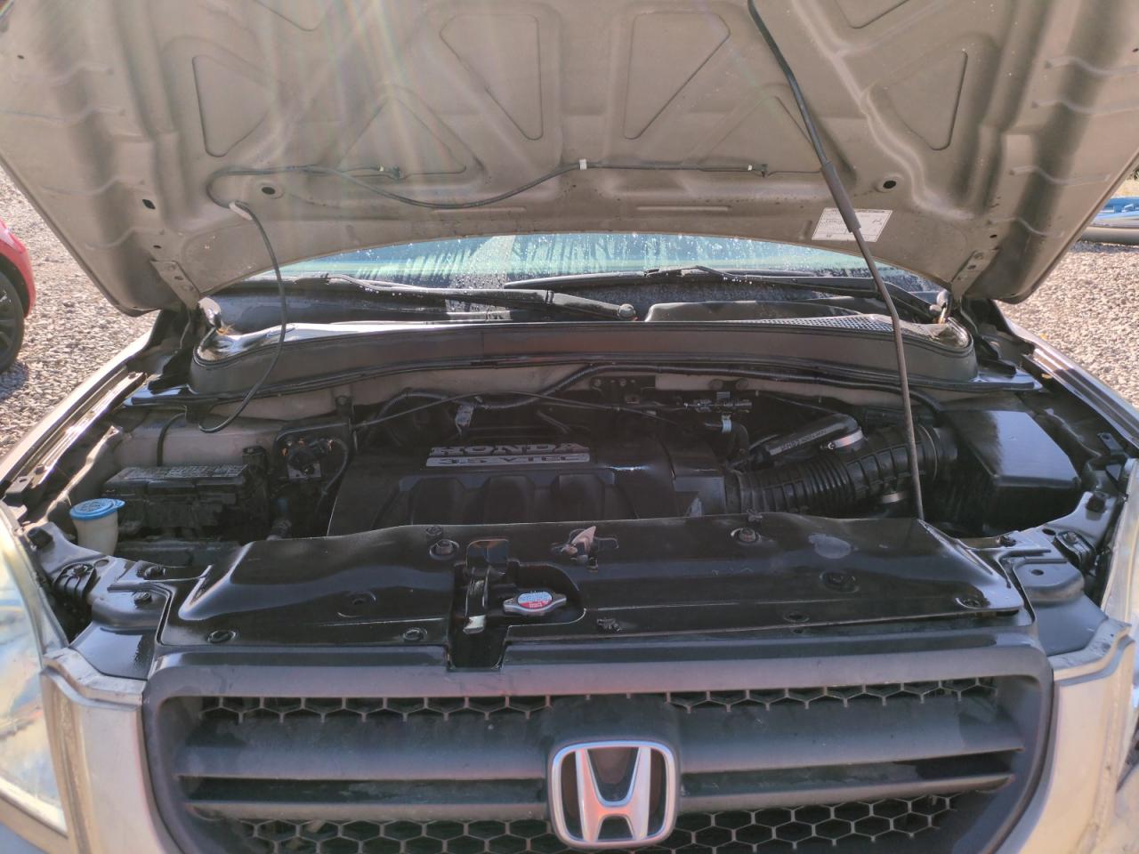 2005 Honda Pilot Exl VIN: 2HKYF18545H542090 Lot: 69970855