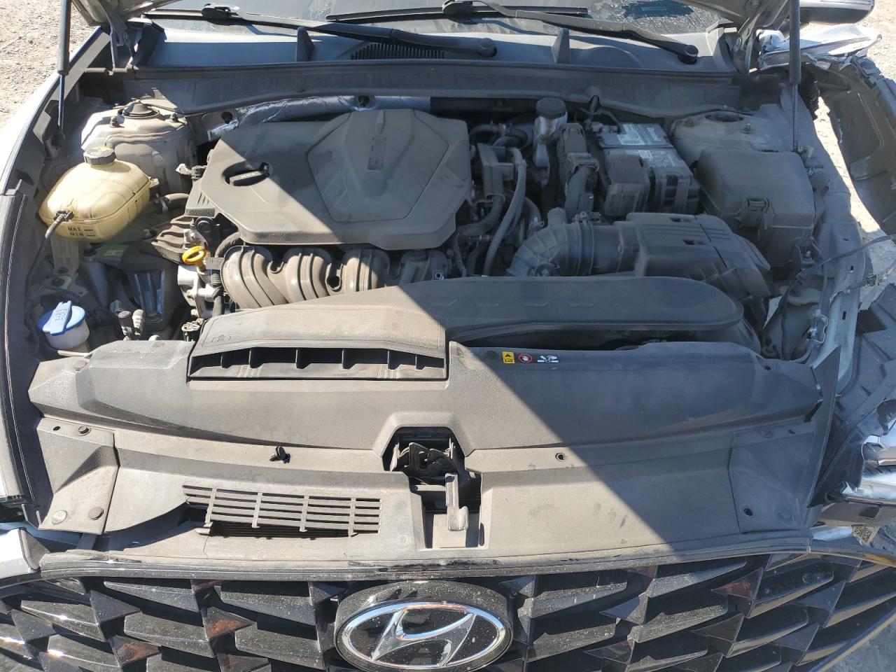 2020 Hyundai Sonata Sel VIN: 5NPEL4JA3LH034923 Lot: 67954425