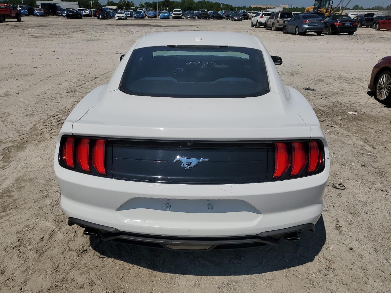 2019 Ford Mustang VIN: 1FA6P8TH9K5204023 Lot: 70132045