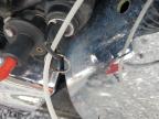 1998 HOND VT750C SHADOW a la Venta en Copart GA - CARTERSVILLE
