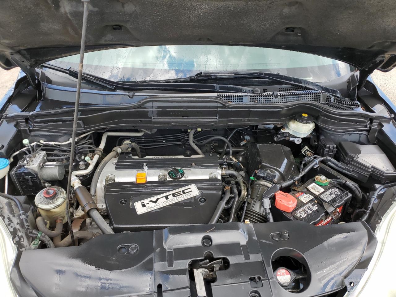 2009 Honda Cr-V Exl VIN: 5J6RE48719L010494 Lot: 70667975