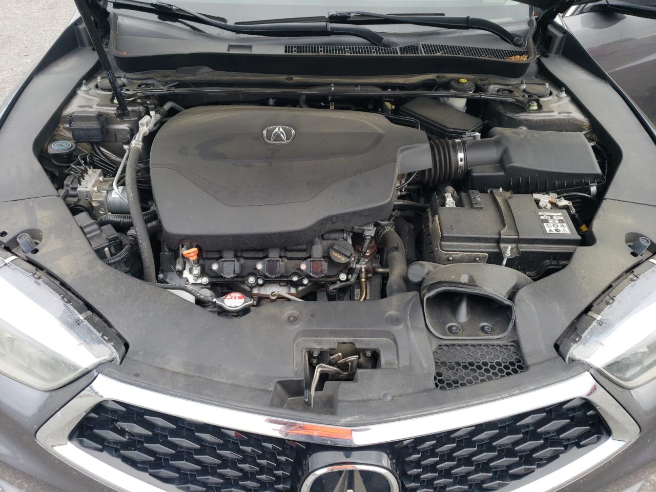 2019 Acura Tlx Technology VIN: 19UUB2F40KA007904 Lot: 67420225