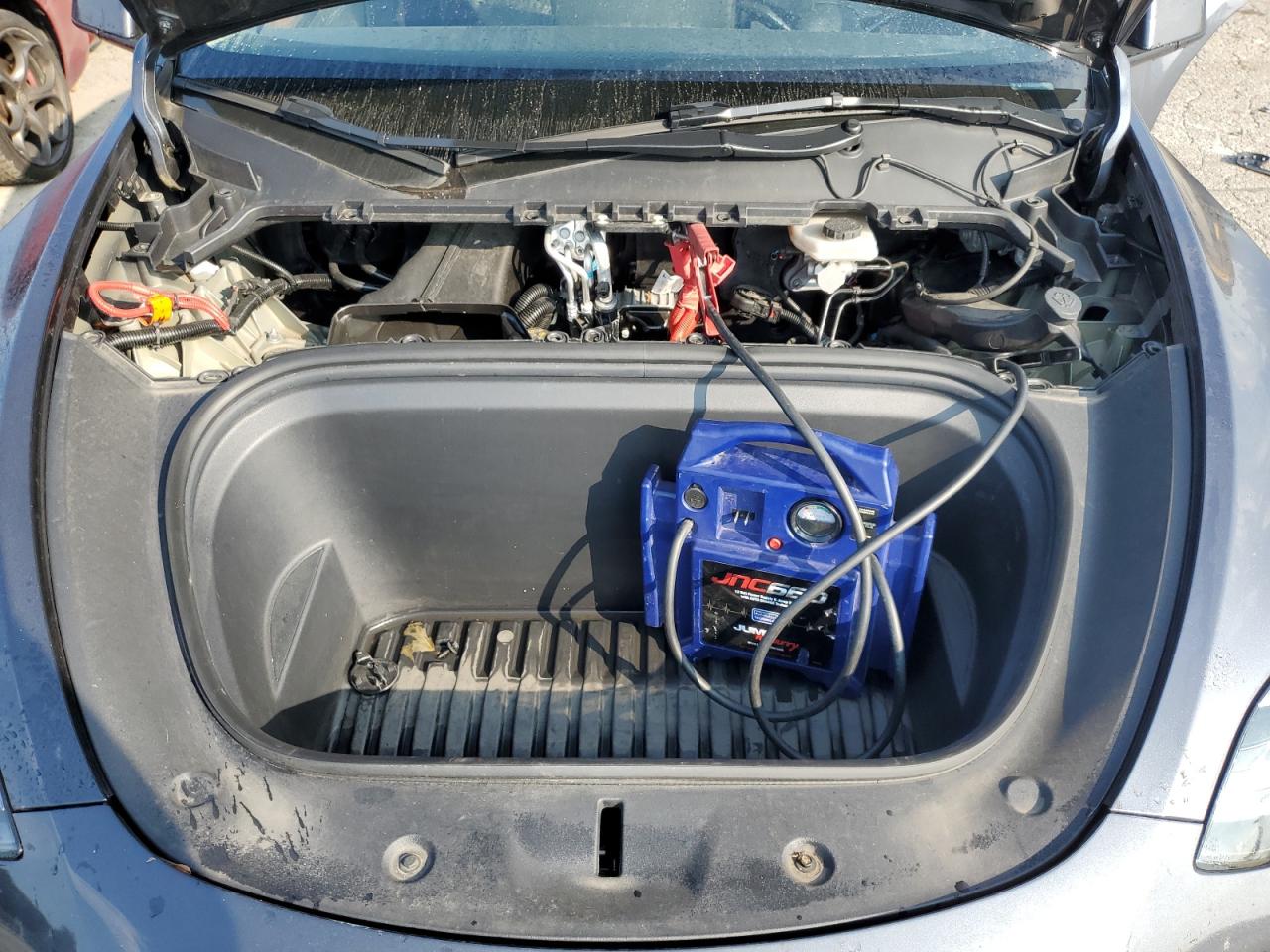 2023 Tesla Model Y VIN: 7SAYGDEEXPA164507 Lot: 67270015