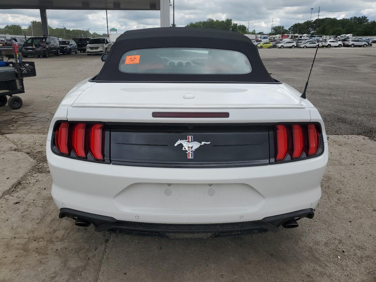 2019 Ford Mustang VIN: 1FATP8UH1K5201330 Lot: 69406455
