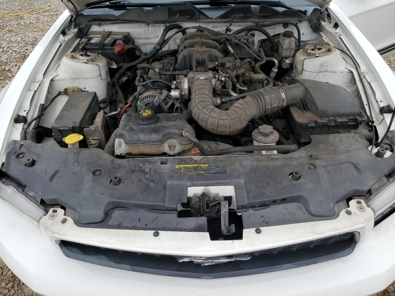 2010 Ford Mustang VIN: 1ZVBP8EN0A5151879 Lot: 68568315