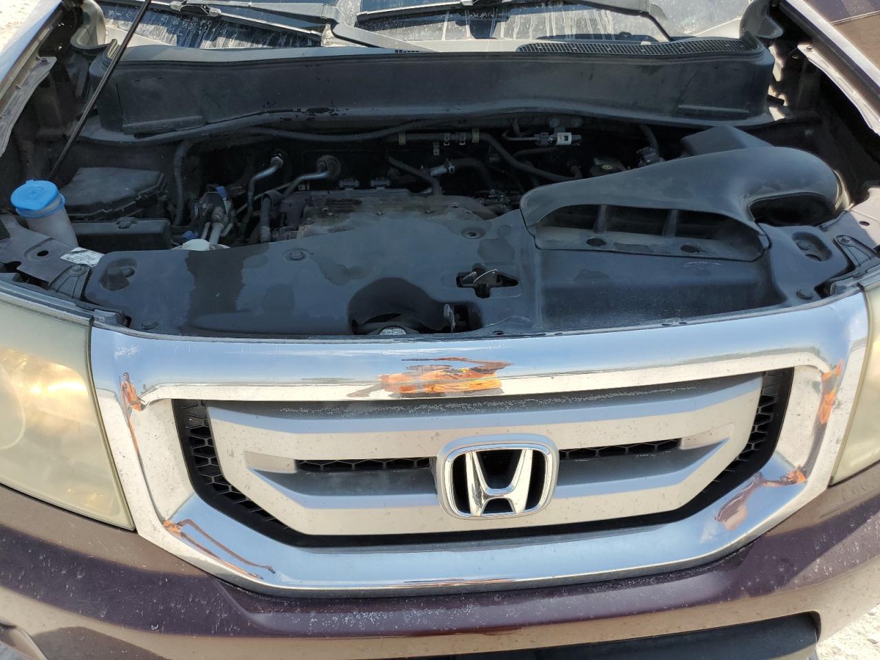 2009 Honda Pilot Exl VIN: 5FNYF48619B038577 Lot: 68780985