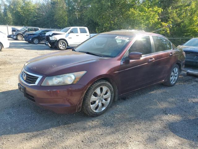 2009 HONDA ACCORD EXL   for sale at Copart ON - COOKSTOWN