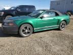 2001 FORD MUSTANG    for sale at Copart AB - EDMONTON