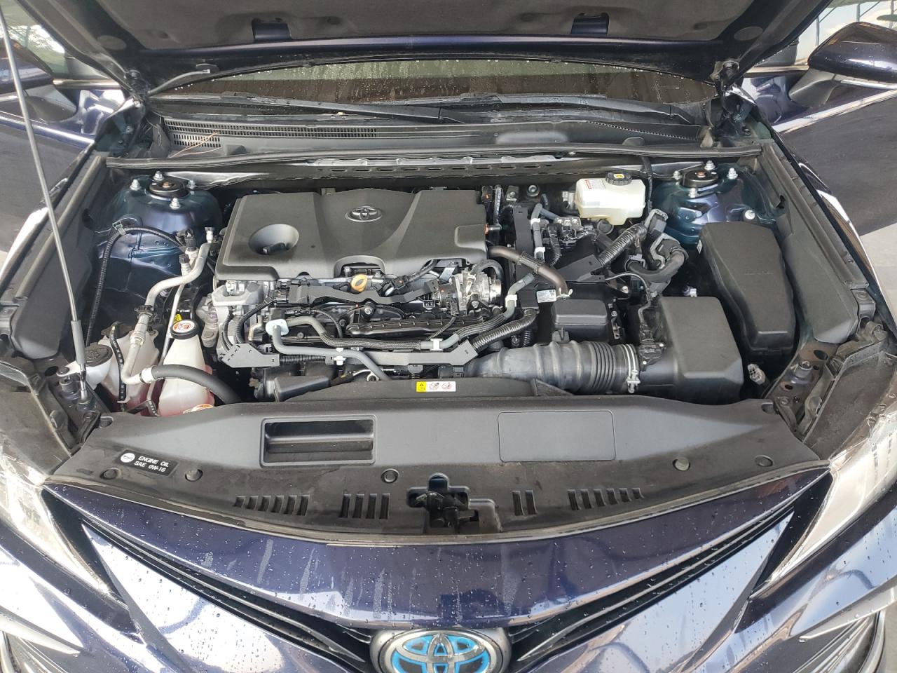 2021 Toyota Camry Le VIN: 4T1C31AK6MU562652 Lot: 69326545