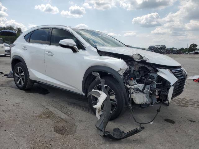  LEXUS NX 2020 Biały