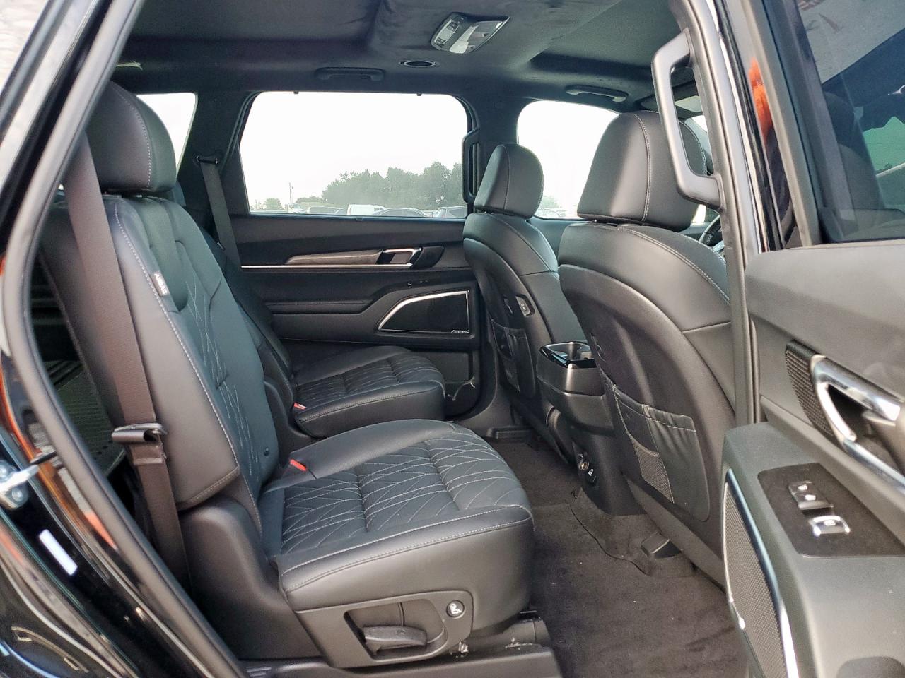 2025 Kia Telluride Sx VIN: 5XYP5DGC1SG609070 Lot: 70580615