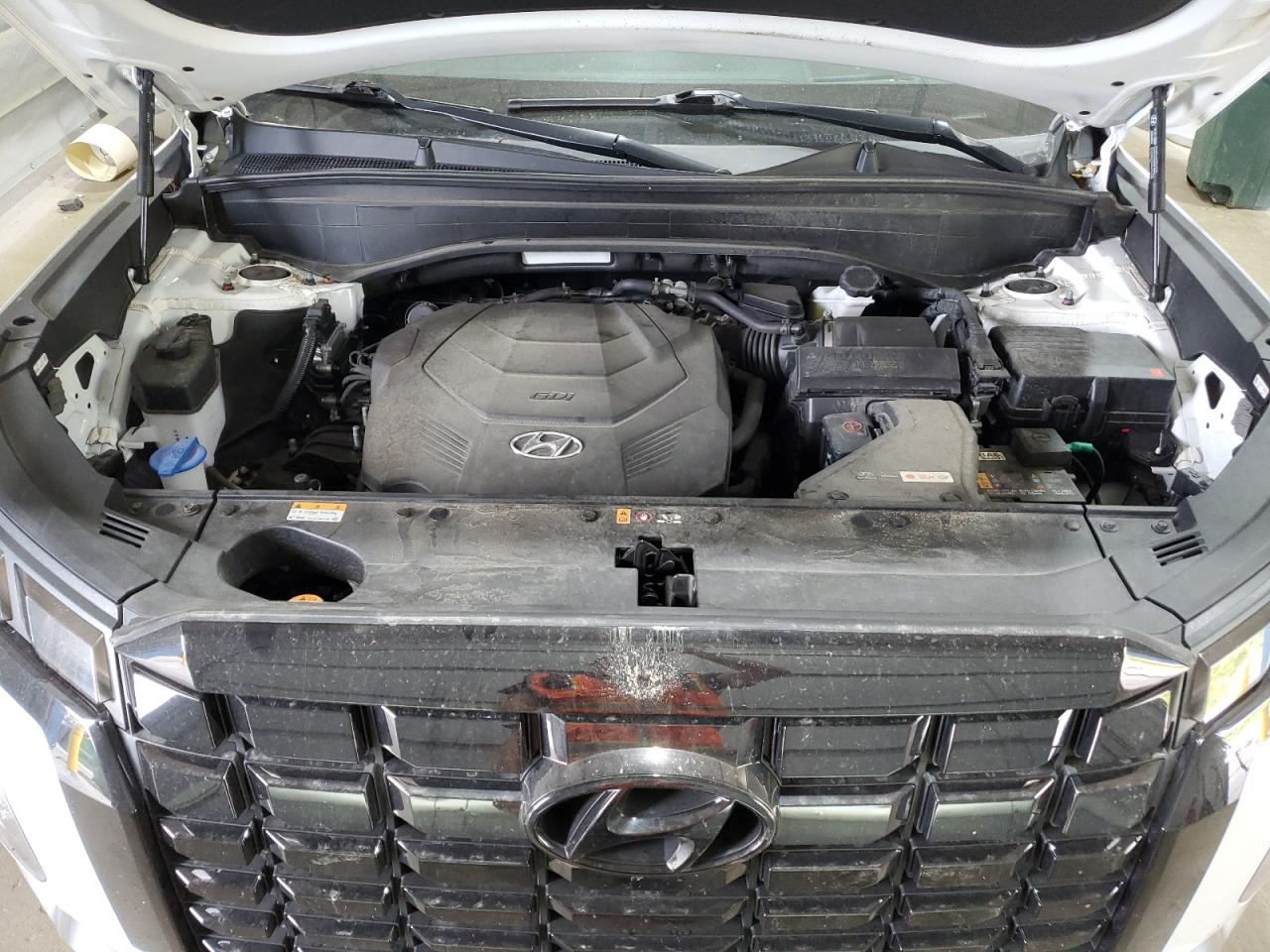 2024 Hyundai Palisade Limited VIN: KM8R5DGE9RU703700 Lot: 70301265