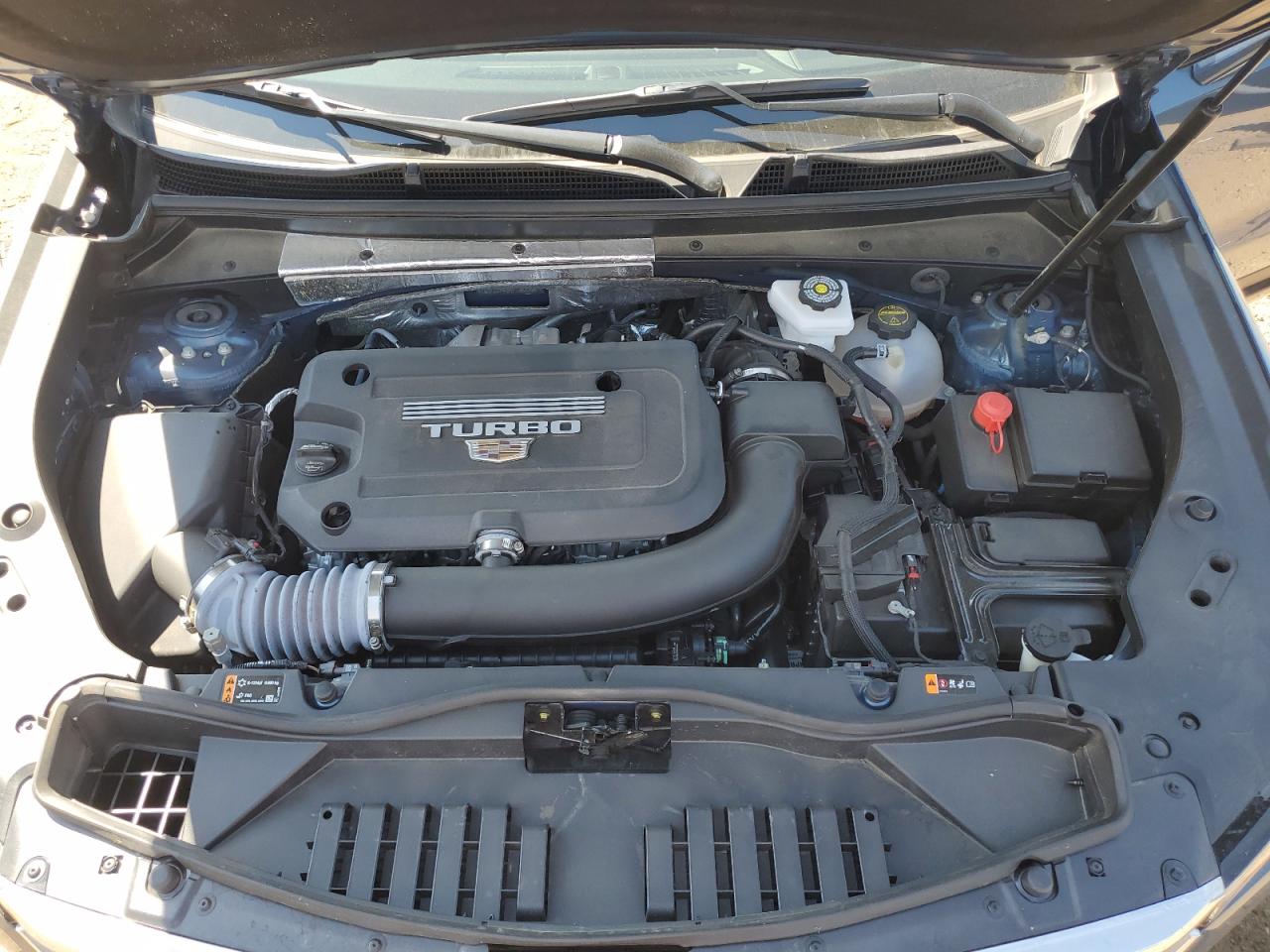 2024 Cadillac Xt4 Premium Luxury VIN: 1GYFZDR48RF196223 Lot: 67797145