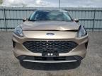 2021 FORD ESCAPE SE   for sale at Copart ON - OTTAWA