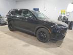 2025 HONDA CR-V SPORT   for sale at Copart NB - MONCTON