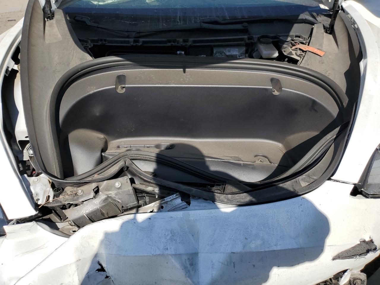 2020 Tesla Model 3 VIN: 5YJ3E1EA3LF631238 Lot: 67971845