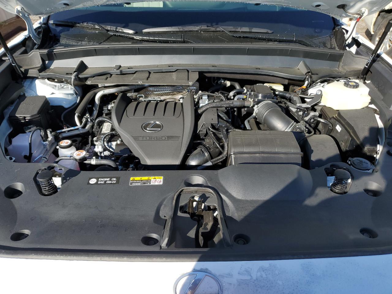 2025 Lexus Tx 500H F Sport Premium VIN: 5TDABAB69SS009740 Lot: 70704475