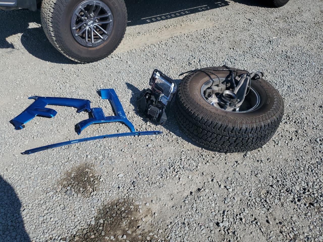 2019 Ford F150 Raptor VIN: 1FTFW1RG9KFB13282 Lot: 69881915