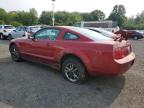 2007 FORD MUSTANG for sale at Copart CT - HARTFORD SPRINGFIELD