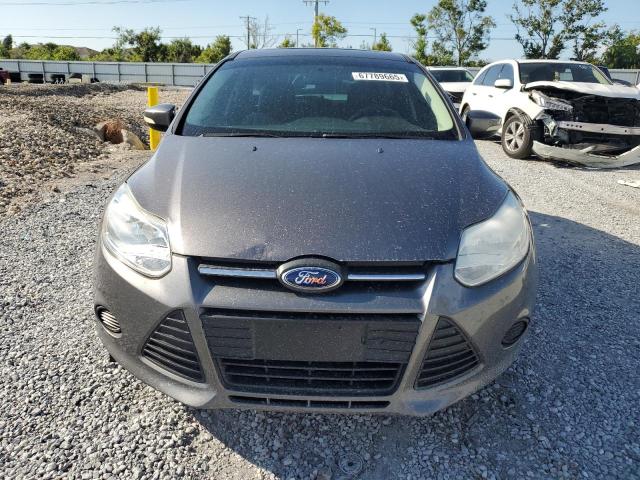 Hatchbacks FORD FOCUS 2014 Gray