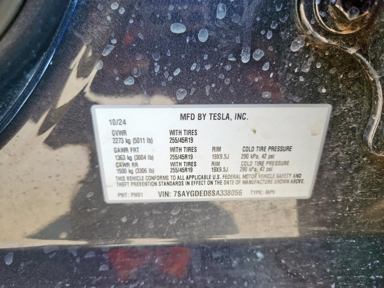 2025 Tesla Model Y VIN: 7SAYGDED8SA338056 Lot: 67119205