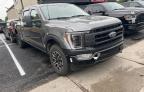 2023 FORD F150 SUPERCREW   à vendre chez Copart ON - OTTAWA