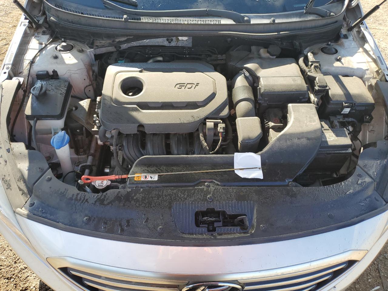 2015 Hyundai Sonata Se VIN: 5NPE24AF1FH031764 Lot: 69880445