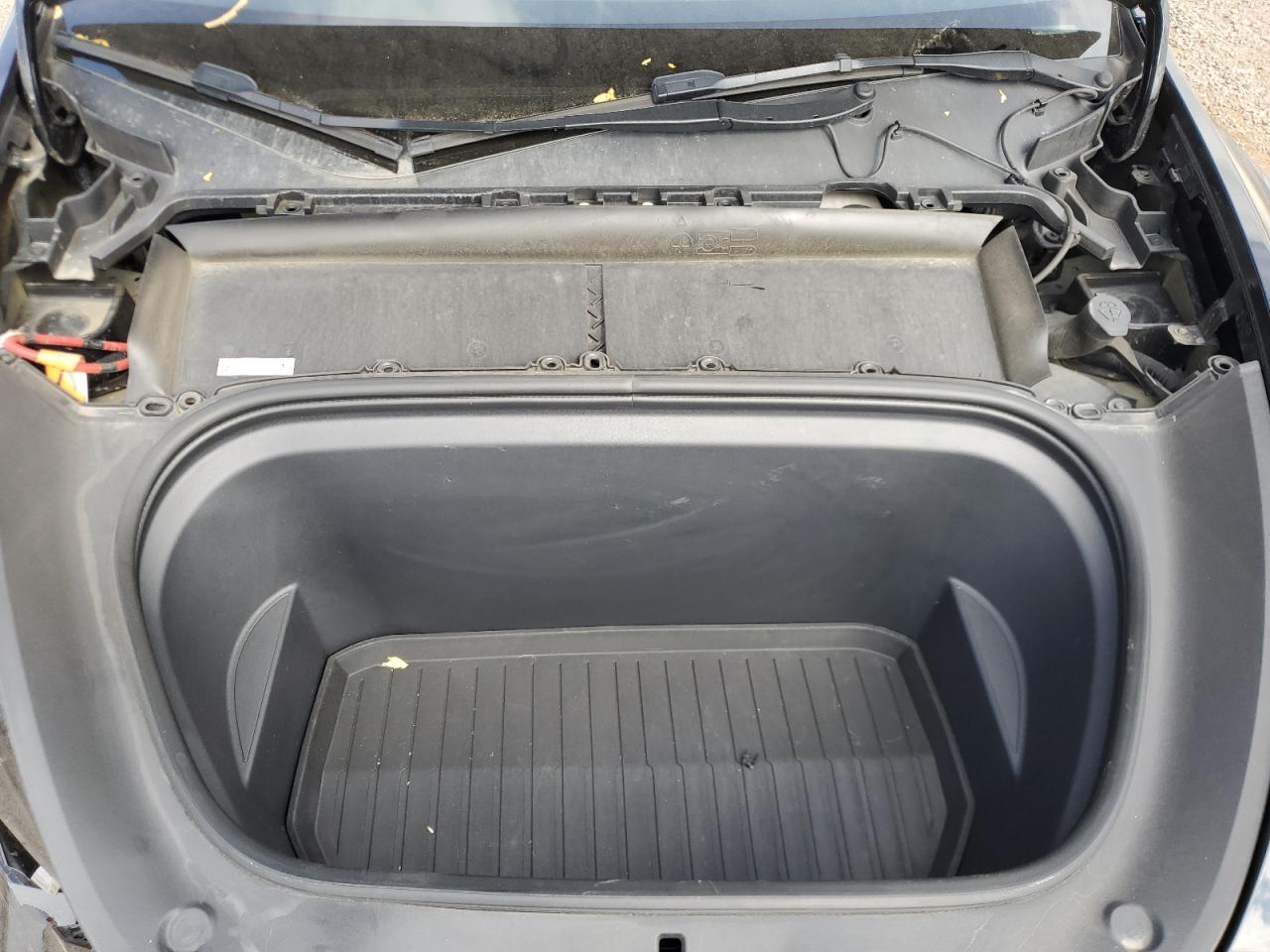 2023 Tesla Model Y VIN: 7SAYGDEF3PF617507 Lot: 71002645