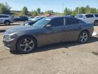 2015 DODGE CHARGER SXT à vendre chez Copart SC - COLUMBIA