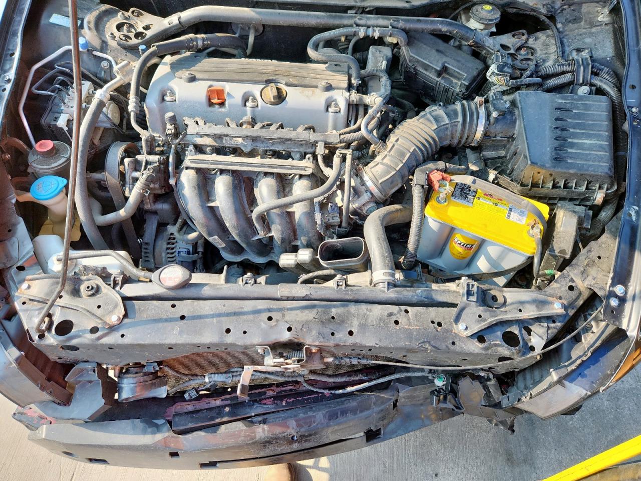 2011 Honda Accord Exl VIN: 1HGCS1B86BA003581 Lot: 70321135