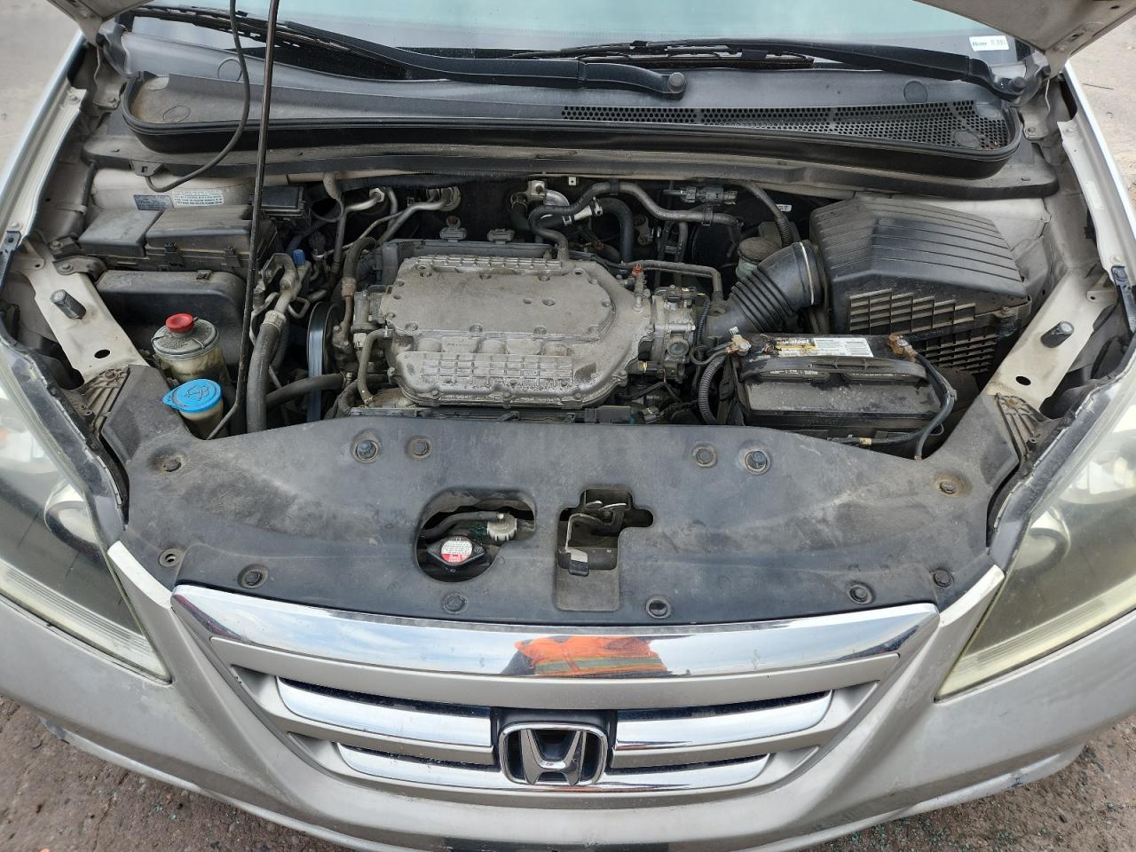 2006 Honda Odyssey Exl VIN: 5FNRL38696B435618 Lot: 70557595