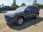 2020 TOYOTA RAV4 XLE   for sale at Copart QC - MONTREAL