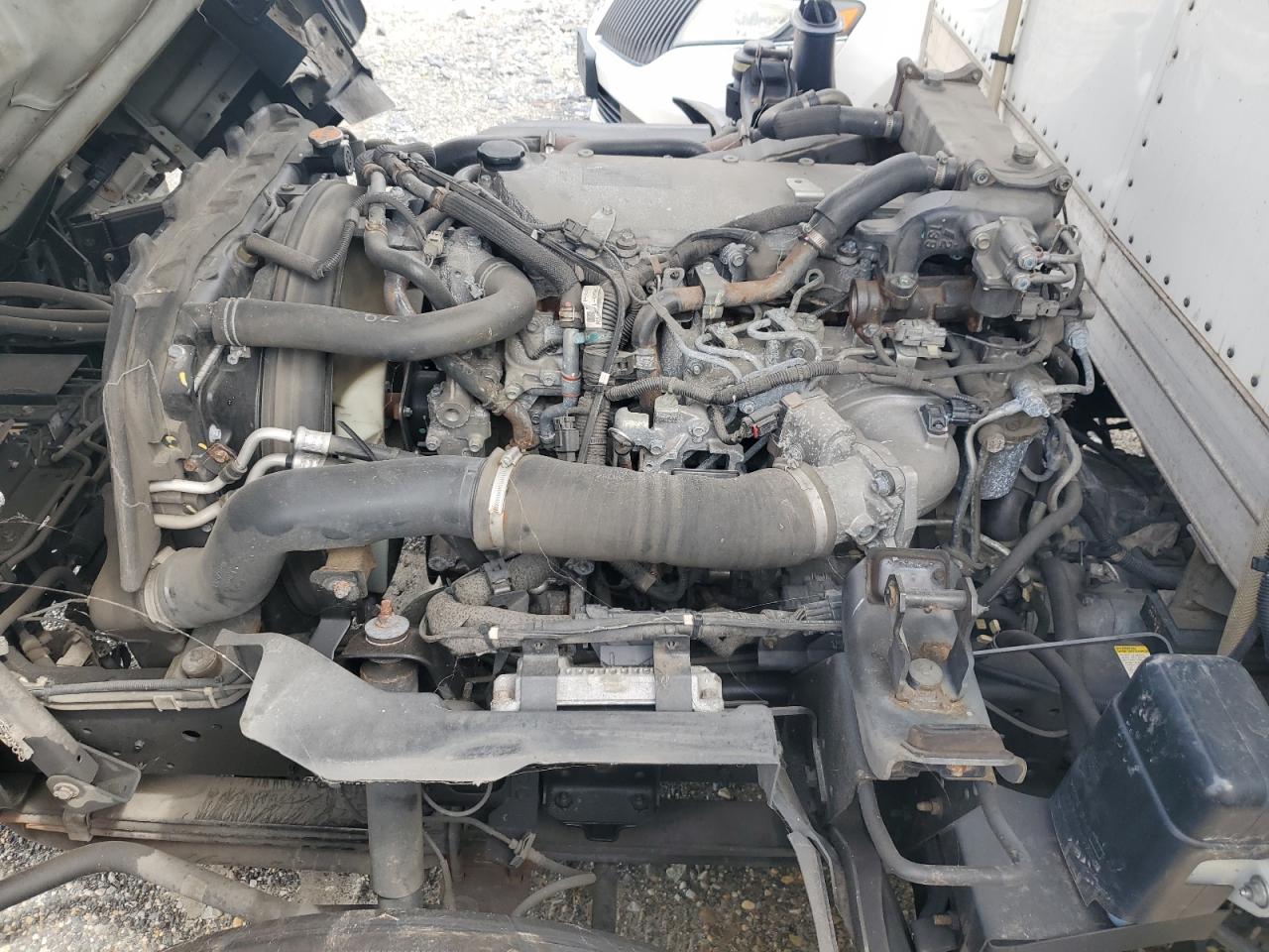 2022 Isuzu Nqr VIN: JALE5W162N7900621 Lot: 68205665