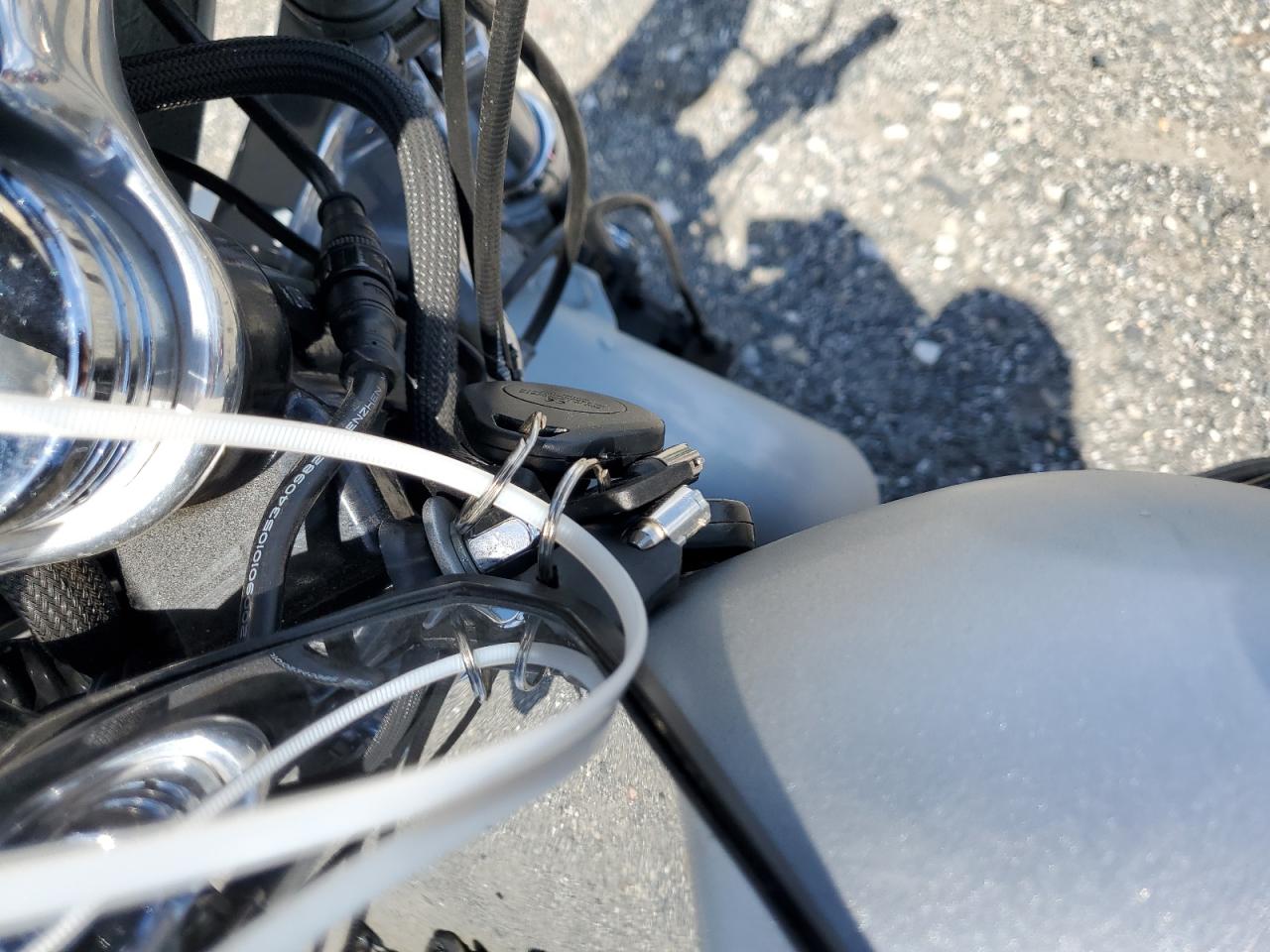 2010 Harley-Davidson Fxdf VIN: 1HD1GY417AC310307 Lot: 70153665