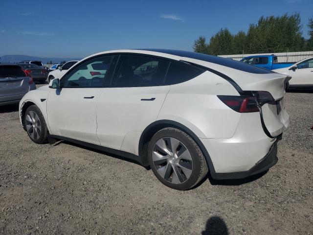  TESLA MODEL Y 2023 White