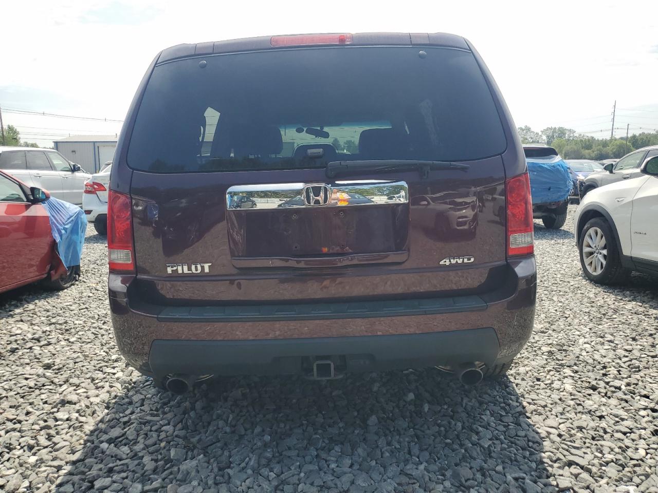 2009 Honda Pilot Ex VIN: 5FNYF48429B047724 Lot: 67718845
