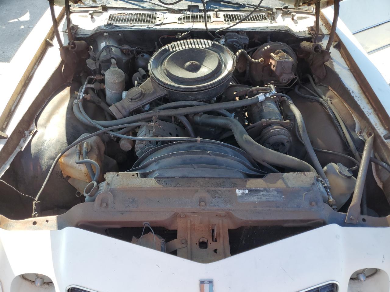 1977 Chevrolet Camaro VIN: 1S87U7L586199 Lot: 69465935