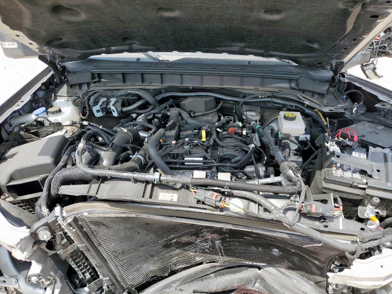 2024 Ford Bronco Outer Banks VIN: 1FMDE8BH8RLB55178 Lot: 70995105