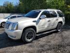2009 CADILLAC ESCALADE LUXURY   à vendre chez Copart ON - COOKSTOWN