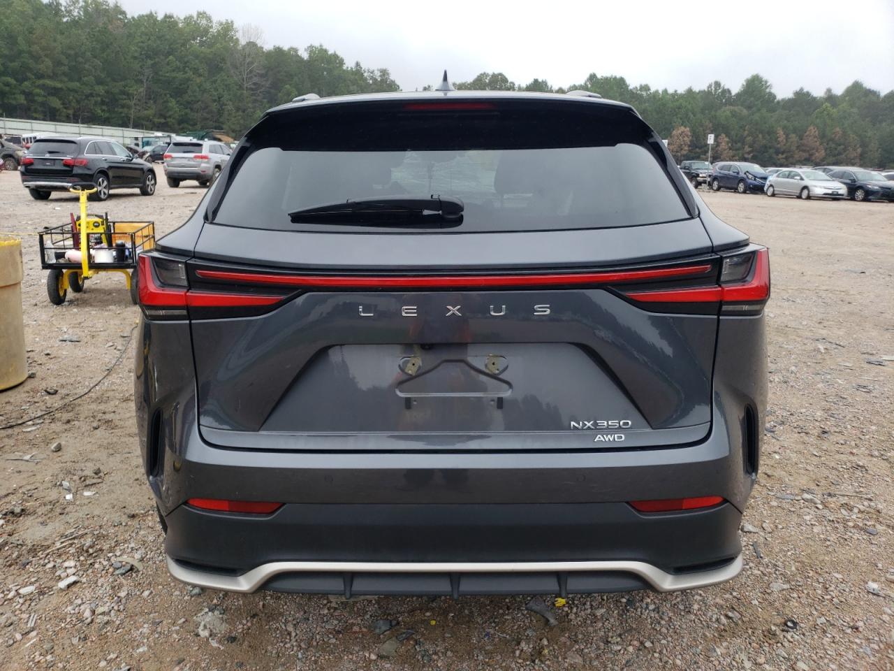 2025 Lexus Nx 350 Luxury VIN: 2T2KGCEZ6SC060575 Lot: 69439735